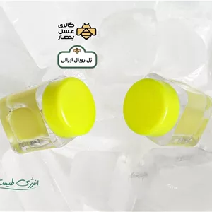 ژل رویال ایرانی گالری عسل بهار (10 گرم)