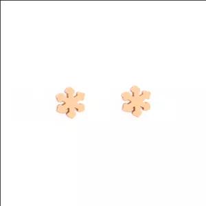 گوشواره برف