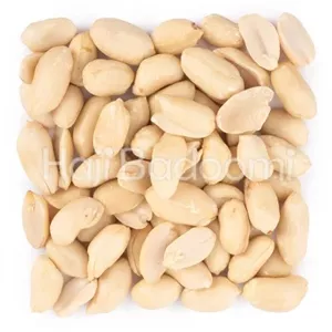 بادام زمینی پوست کنده خام بسته 500 گرمی