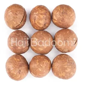 ماکادمیا با پوست درجه یک بسته 500 گرمی