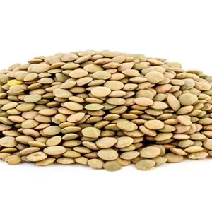 عدس درشت 500گرمی