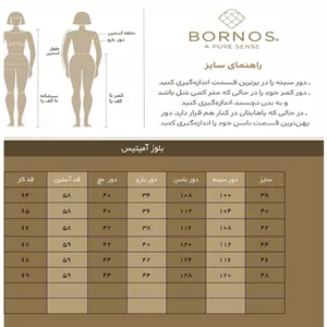 بلوز زنانه مجلسی کرپ حریر آستین گیپور یقه گرد کلاسیک آمیتیس بُرنُس مشکی 38