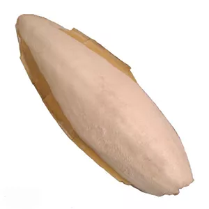 کف دریا