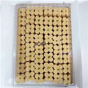 شیرینی نخودچی خونگی با کیفیت عالی 500 گرم