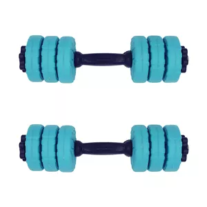 دمبل رادیس فیت مدل DVP-3-500 وزن 3 کیلوگرم بسته 2 عددی مشکی