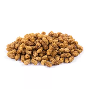 توت خشک 100 گرم