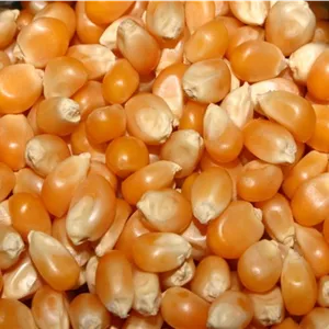 ذرت خارجی 250 گرم