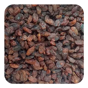 مویز هسته دار فخری 100 گرم