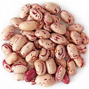 لوبیا چیتی 250گرمی