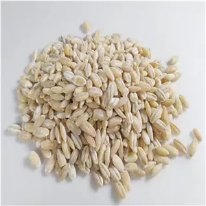 جو پوست کنده (1کیلوگرم)