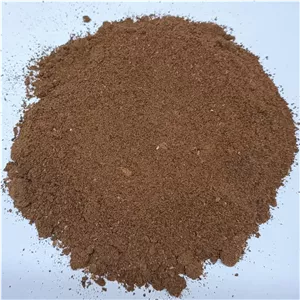 پودر کیوی یک کیلویی خالص