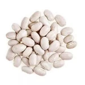 لوبیا سفید 500 گرم