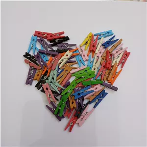 گیره فانتزی 20 عددی(رنگ تصادفی )