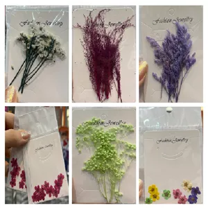 دیزاین گل خشک خوشه ای طراحی ناخن کیسه ای بزرگ(رندوم ارسال می‌شود)
