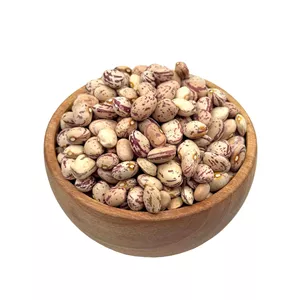 لوبیا چیتی ایرانی