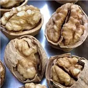 گردو با پوست کاغذی سوپر 500 گرم محصول 1404
