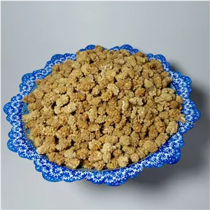 توت خشک 300گرمی