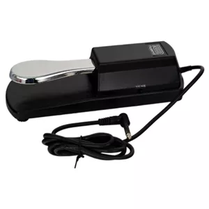 پدال ساستین رولند Roland Sustain Pedal