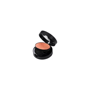 رژگونه نوت – لومینوس سیلک رنگ 08 | Note Luminous Silk Compact Blusher
