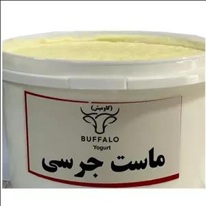 ماست جرسی گاومیش ۱ کیلوگرم