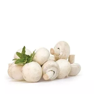 قارچ تازه زی خوراک 200 گرم