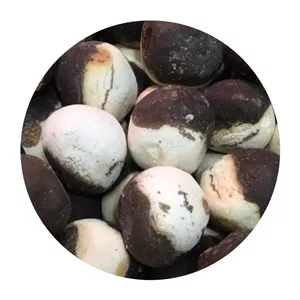 کشک و قره قروت 500گرم