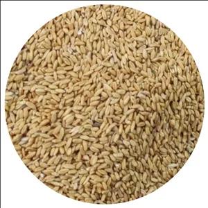 گندم پرنده 1کیلوگرم