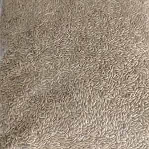 تخم کتان اردبیل