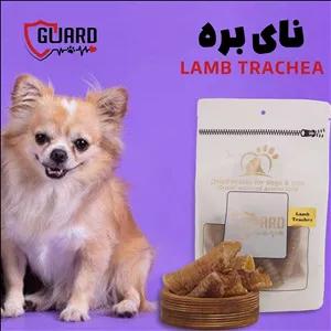 تشویقی سگ نای بره Guard Dried Snacks