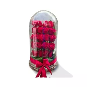 تراریوم رز قرمز