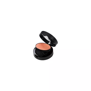 رژگونه نوت – لومینوس سیلک رنگ 08 | Note Luminous Silk Compact Blusher