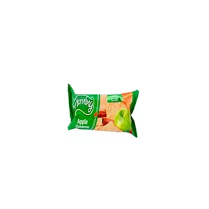 کیک روغنی صبحانه سیب و دارچین مورنینگ شیرین عسل 100 گرمی