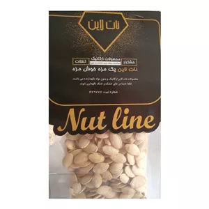 تخمه کدو گوشتی دوآتیشه نات لاین - 220 گرم