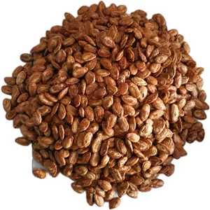 تخمه جابانی نات لاین - 210 گرم