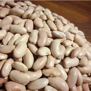 لوبیا کشاورزی درجه یک 500 گرمی