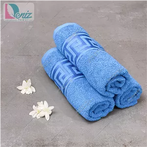 حوله دستی بسته سه عددی طرح ورساچه آبی روشن