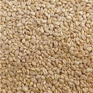 گندم پوست کنده 1 کیلوگرم