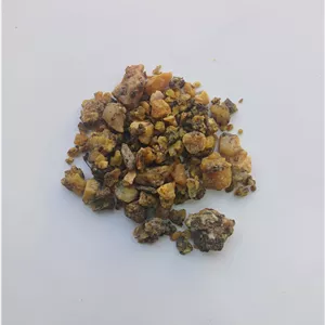 آنغوزه