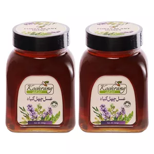 عسل طبیعی چهل گیاه زاگرس رویال کندو کوهرنگ - 900 گرم بسته 2 عددی