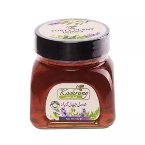 عسل طبیعی چهل گیاه زاگرس رویال کندو کوهرنگ - 450 گرم بسته 2 عددی