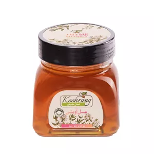 عسل طبیعی آویشن زاگرس رویال کندو کوهرنگ - 450 گرم بسته 2 عددی