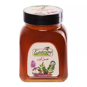عسل طبیعی گون زاگرس رویال کندو کوهرنگ - 900 گرم بسته 2 عددی