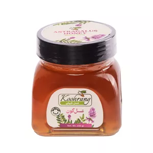عسل طبیعی گون زاگرس رویال کندو کوهرنگ - 450 گرم بسته 2 عددی
