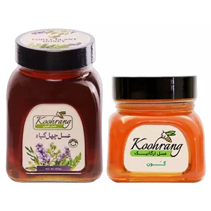 عسل طبیعی چهل گیاه 900 گرم و عسل گون گز ارگانیک 900 گرم رویال کندو کوهرنگ بسته 2 عددی