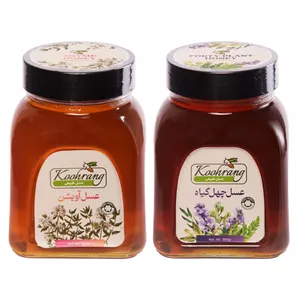 عسل طبیعی چهل گیاه و عسل طبیعی آویشن رویال کندو کوهرنگ - 900 گرم بسته 2 عددی