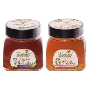 عسل طبیعی چهل گیاه و عسل طبیعی آویشن رویال کندو کوهرنگ - 450 گرم بسته 2 عددی