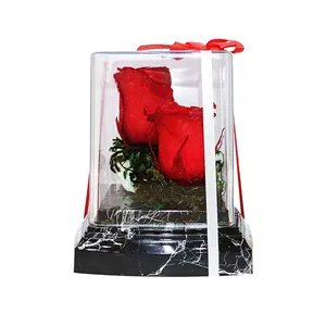 جعبه گل رز جاودان 2 گل مدل RedLove
