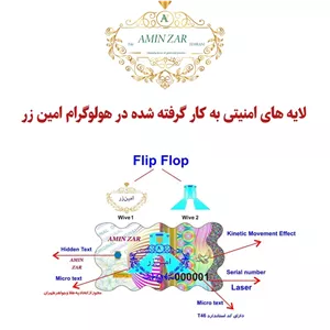 سکه طلا 5.000گرمی 18 عیار پارسیان امین زر 