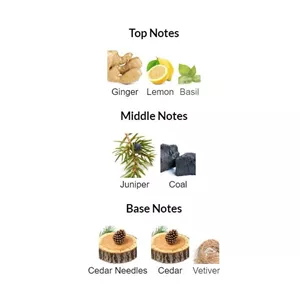 عطر مردانه گلشیر اکستریم