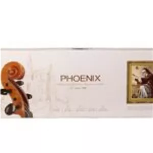 ویولن فونیکس مدل phoenix VP101 E 2/4